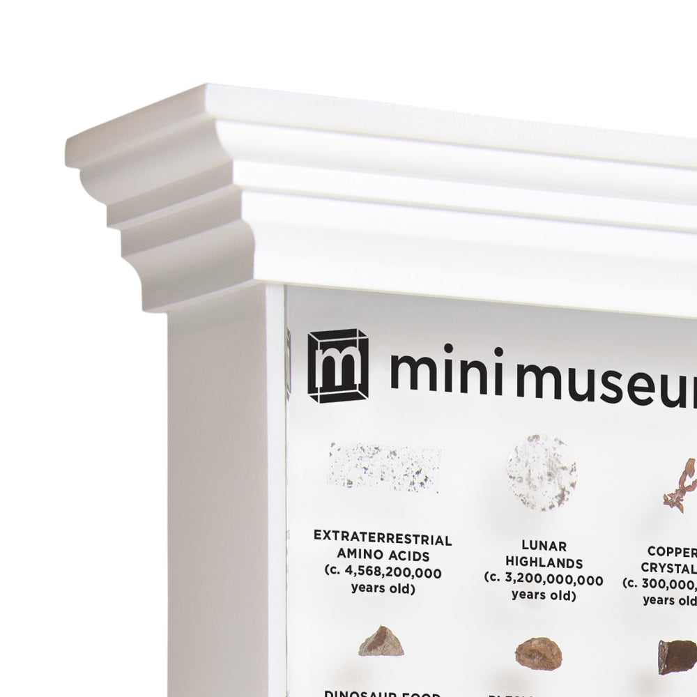 Mini Museum Illuminated LED Stand