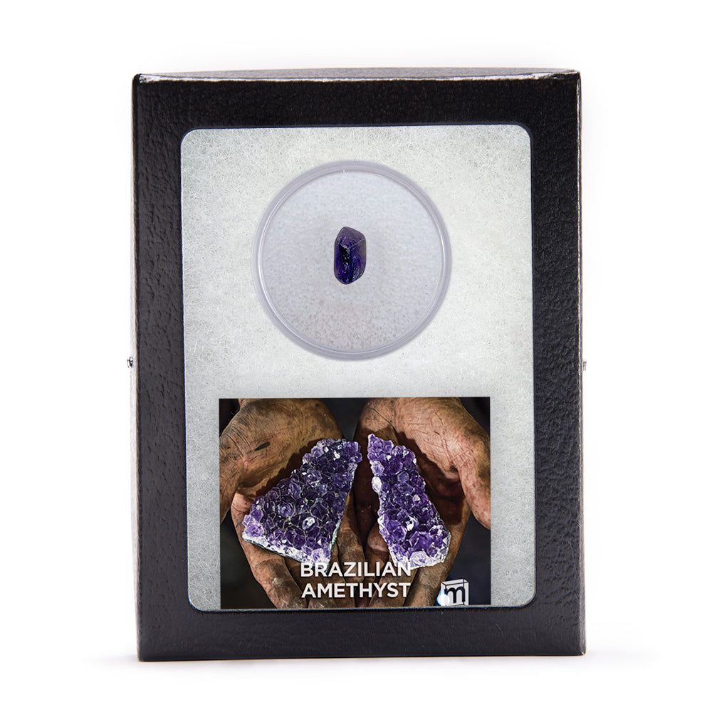 Amethyst Classic Riker Box Specimen Brazilian - Mini Museum