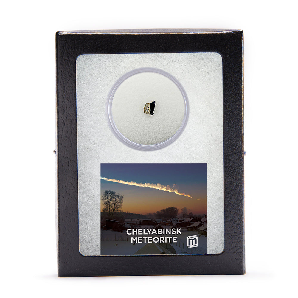 Chelyabinsk Meteorite Classic Riker Box Specimens, Includes