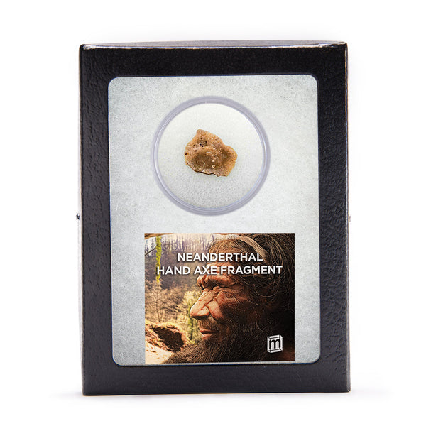 add-on-neanderthal-hand-axe-