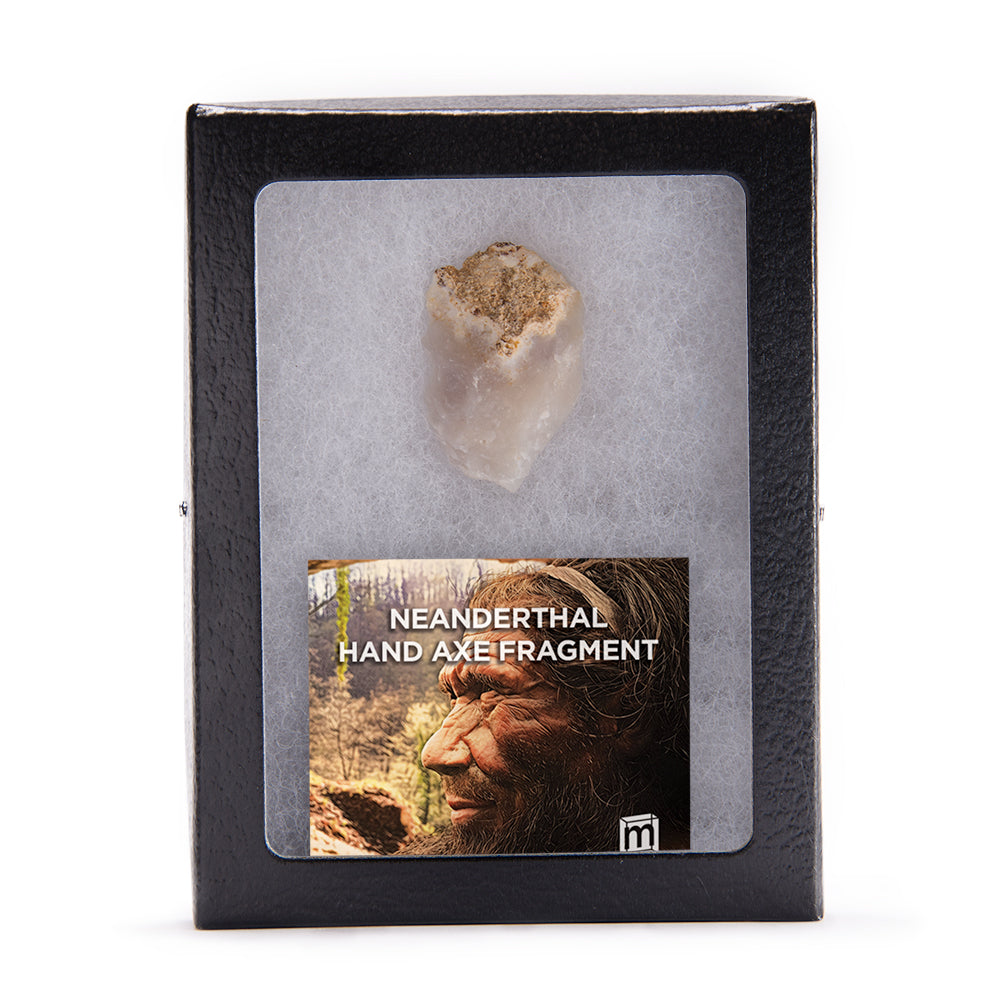 Neanderthal Classic Riker Box Stone Tool Fragment