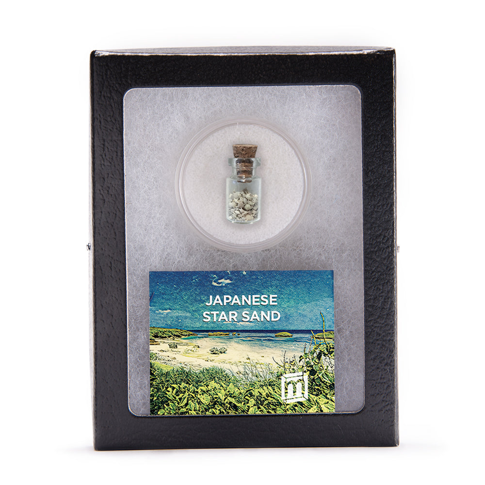 ■星/カガミ/沖縄/オブジェ Japanese Star Sand Collectible Specimen, Includes Display Case