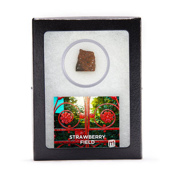 Beatles Brick Fragment Strawberry Field Brick Collectible Specimen