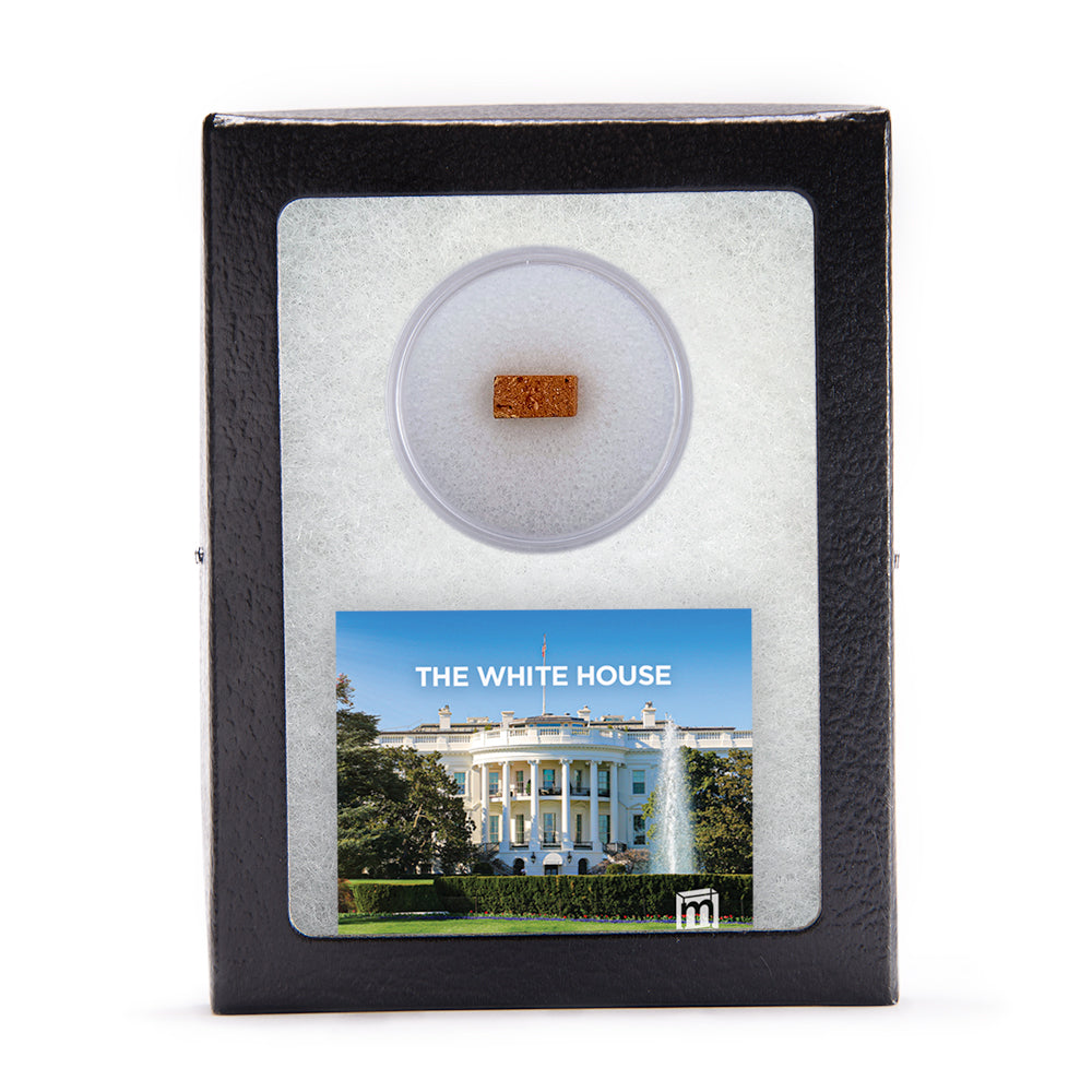 Whitehouse『Dictator』 White House (Washington D.C.) - Visitor Information & Reviews