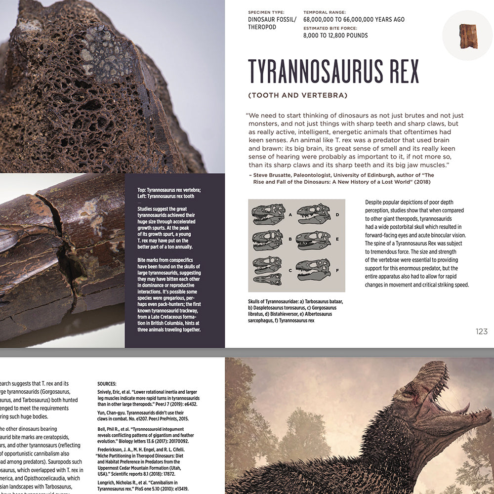 Companion Guide Age of Dinosaurs Extra Printed Companion Guide