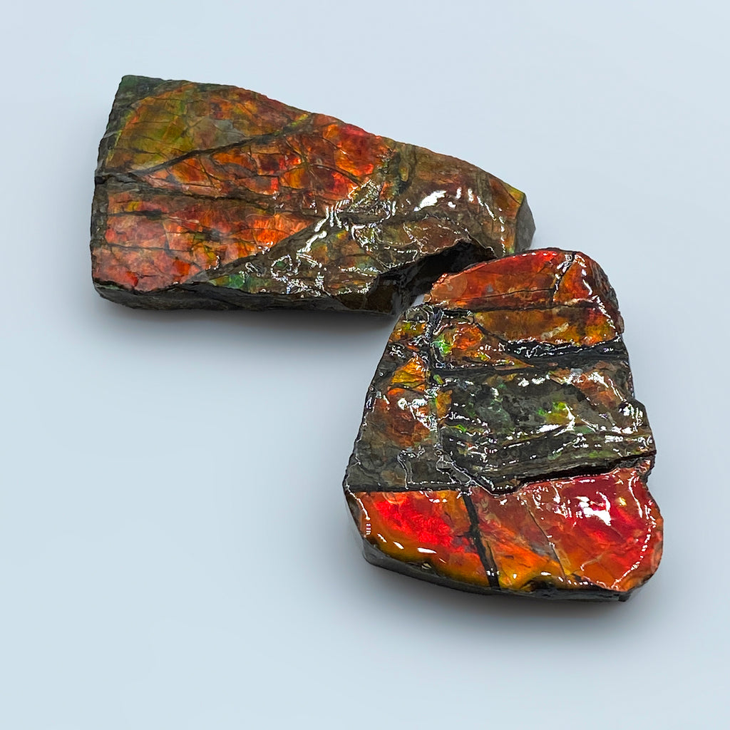 Rainbow Fossil Ammolite - Gem Quality Ammonite Fossil Fragment