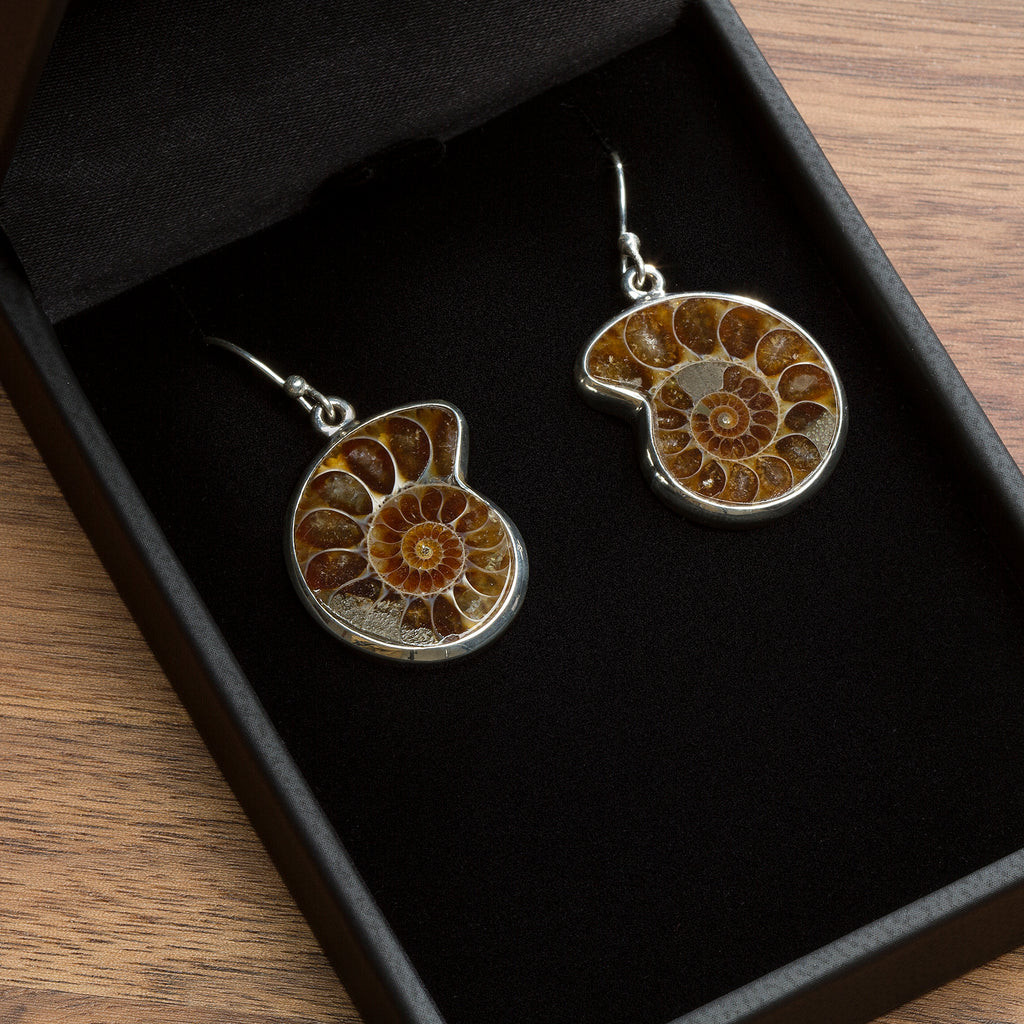 Ammonite Jewelry