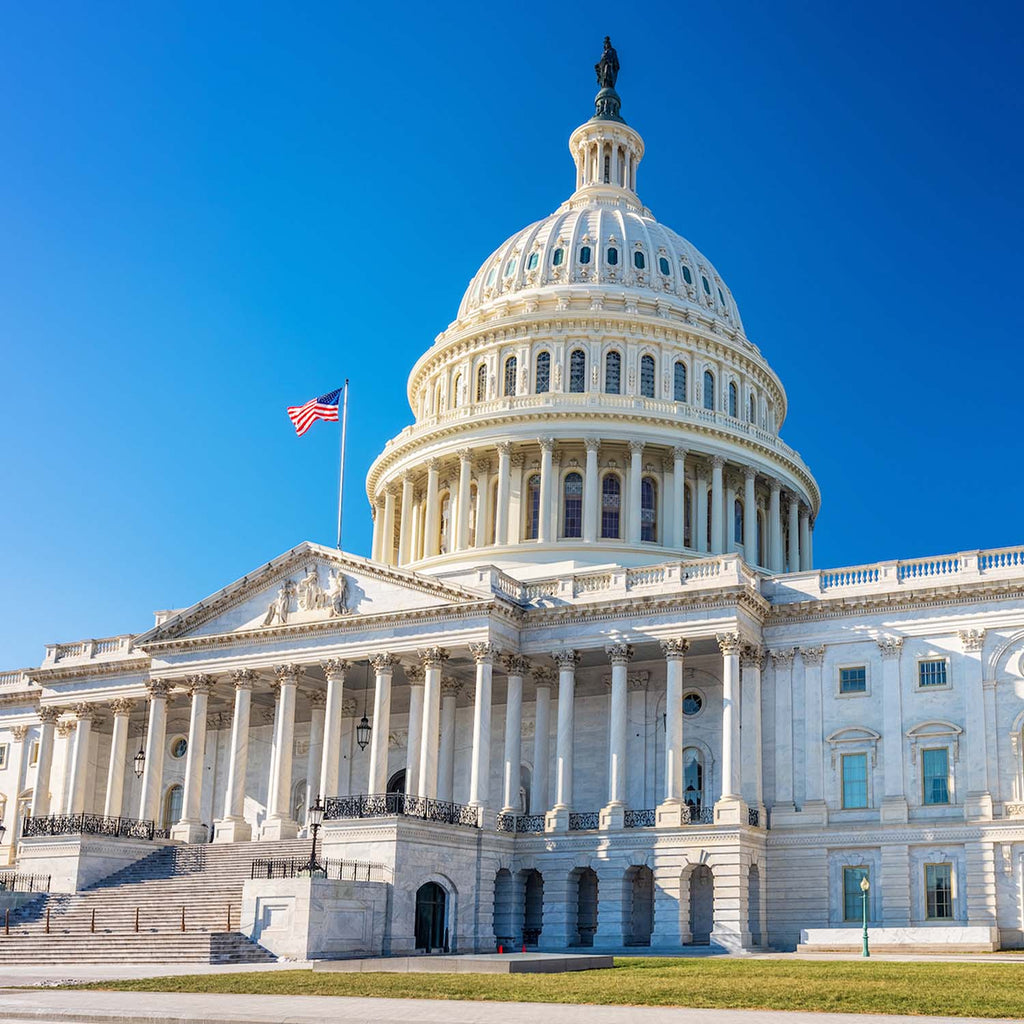 U.S. Capitol Building Steps