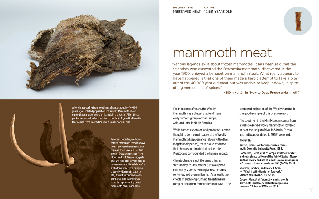 Companion Guide - Mammoth Meat Specimen