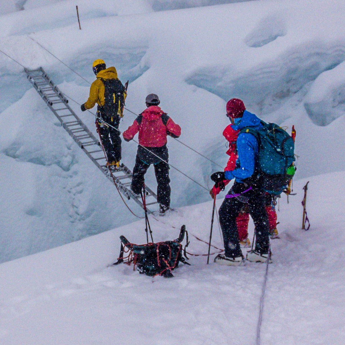 Mount Everest Ladder Rung Mini Museum