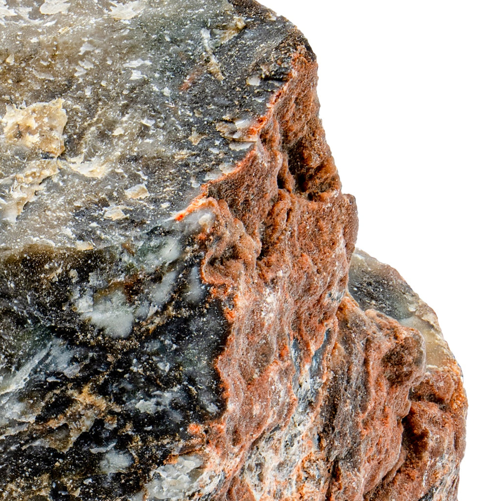 Coprolite Zipper Pull, Fossil Dinosaur Poop Bag Charm — CindyLouWho2