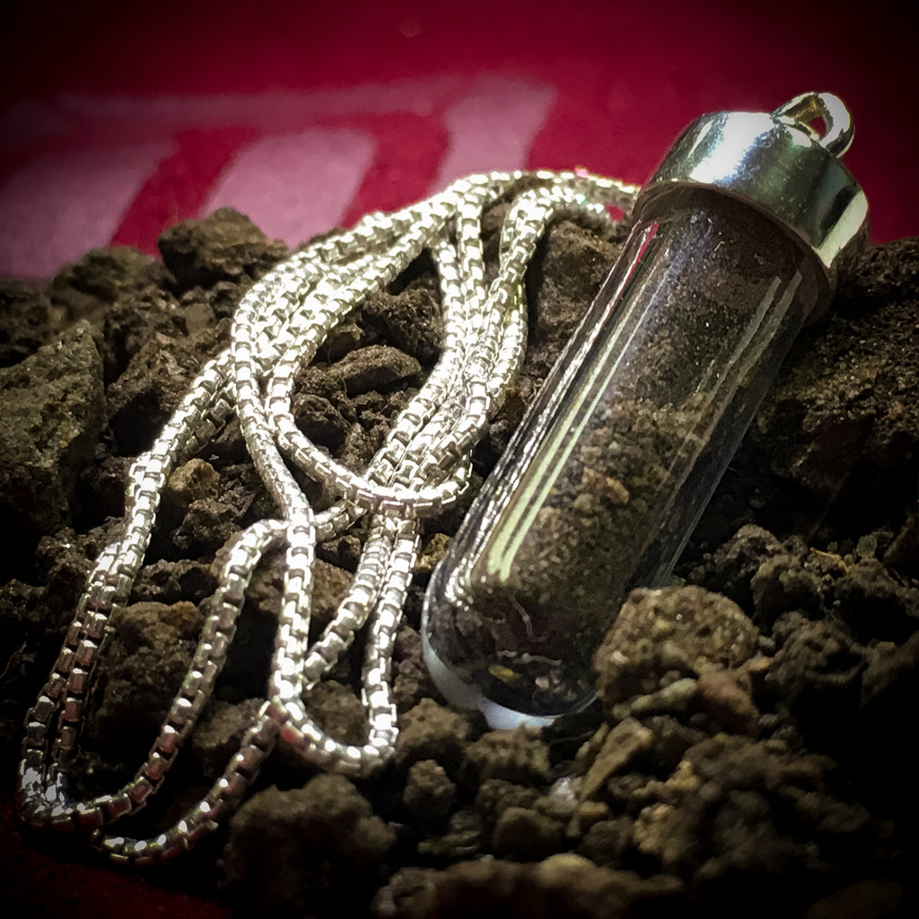 Dracula Soil Vial and Silver Necklace 🦇