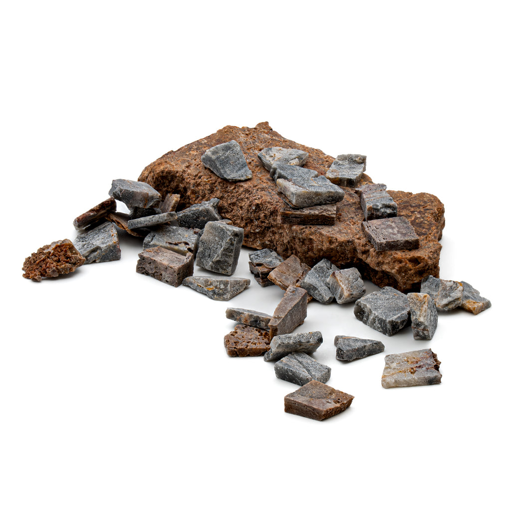 Earliest Life - North Pole Dome Stromatolite - Classic Riker Box Specimen