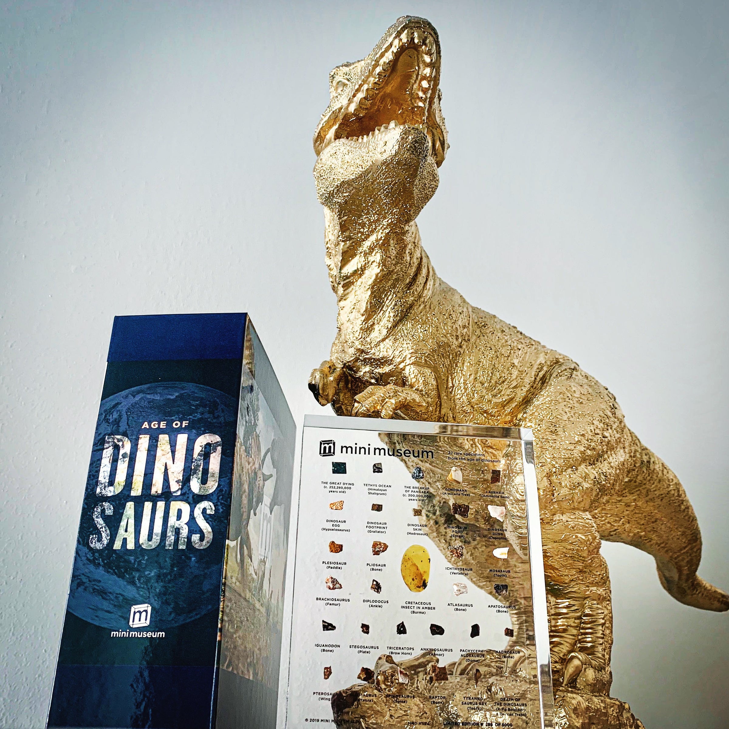 Age Of Dinosaurs (Large 32 Specimens) Educational Display - Mini