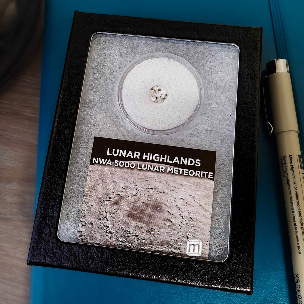 Lunar Highlands - Classic Riker Box Specimens