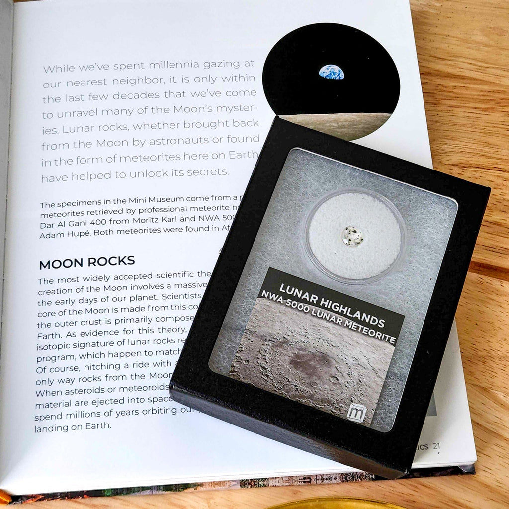 Lunar Highlands Classic Riker Box Specimens - Mini Museum