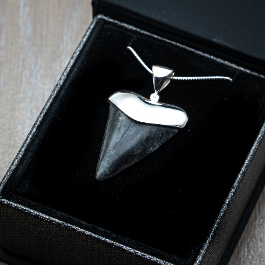 Shark Tooth Necklace - Silver Pendant With 0.925 Purity
