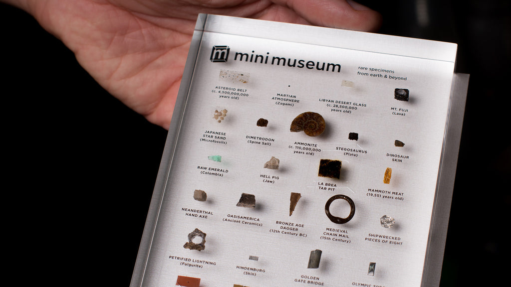 Companion Guide Backing the Second Edition Mini Museum