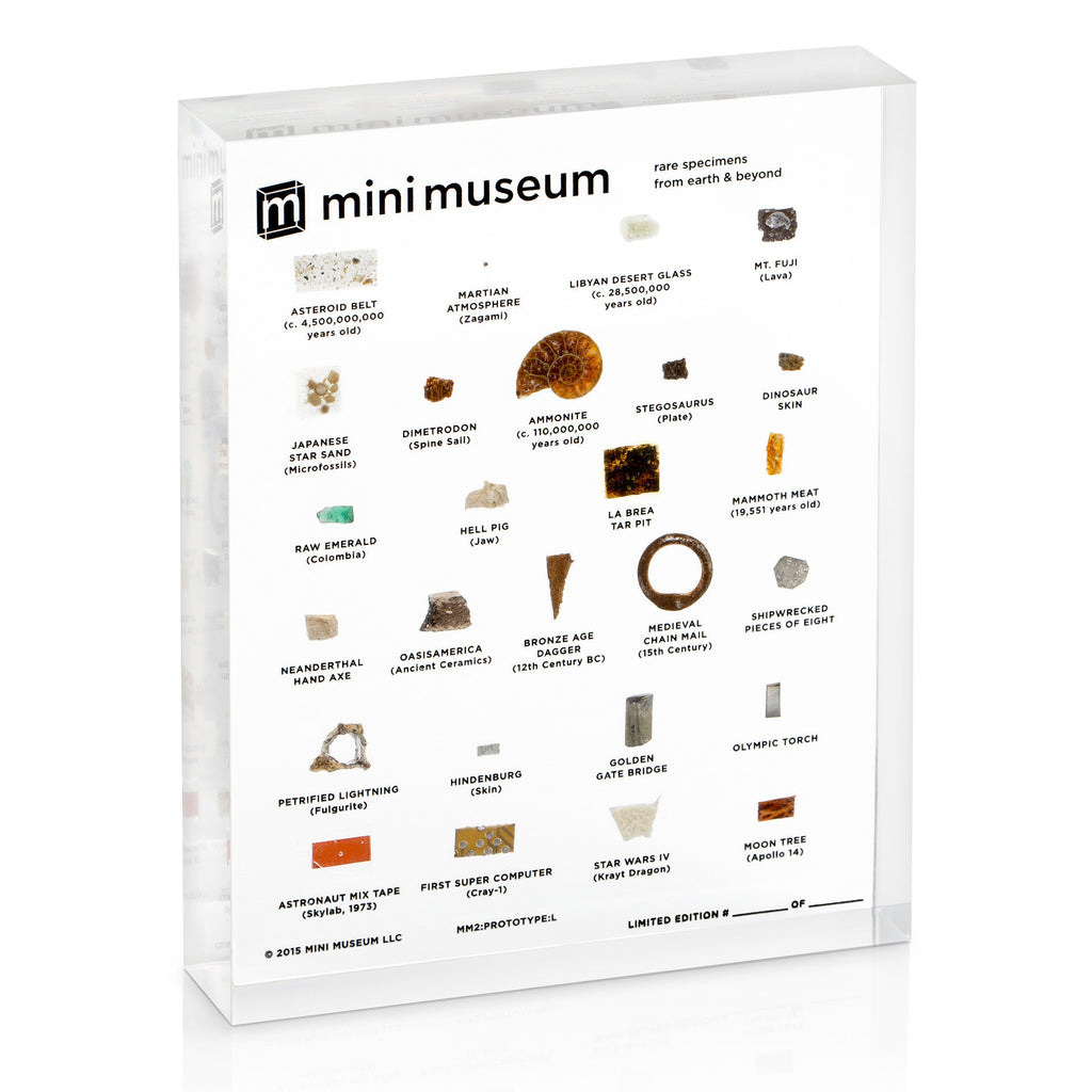 Mini Museum Second Edition (LARGE 26 Specimens)