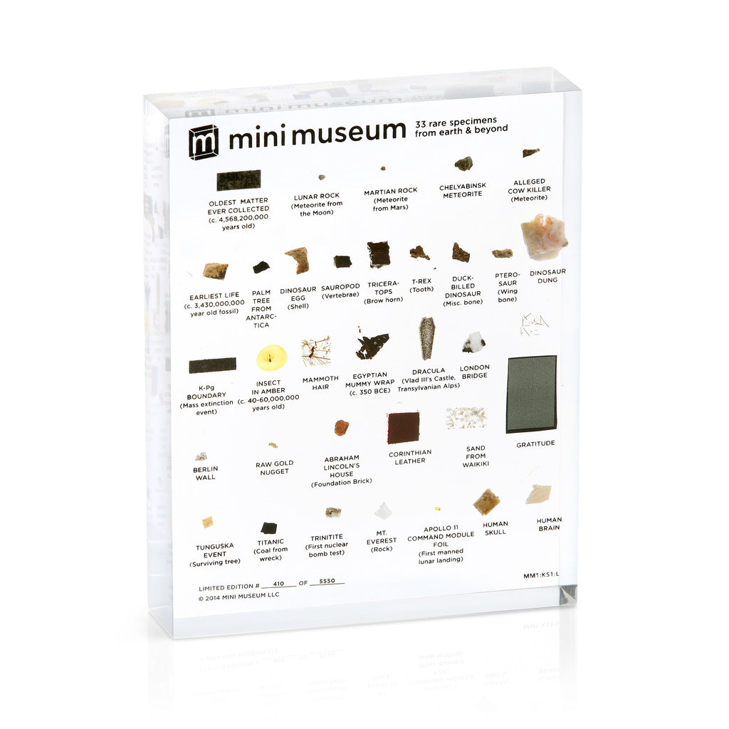 Mini Museum - First Edition (LARGE - 33 Specimens)