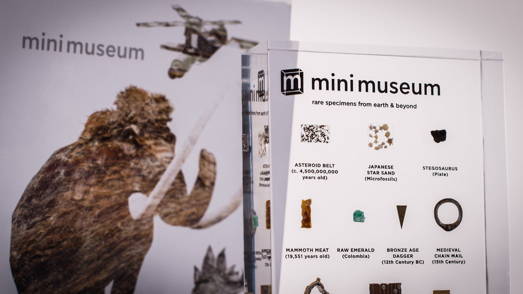 10 Specimen Second Edition Mini Museum with Display Box