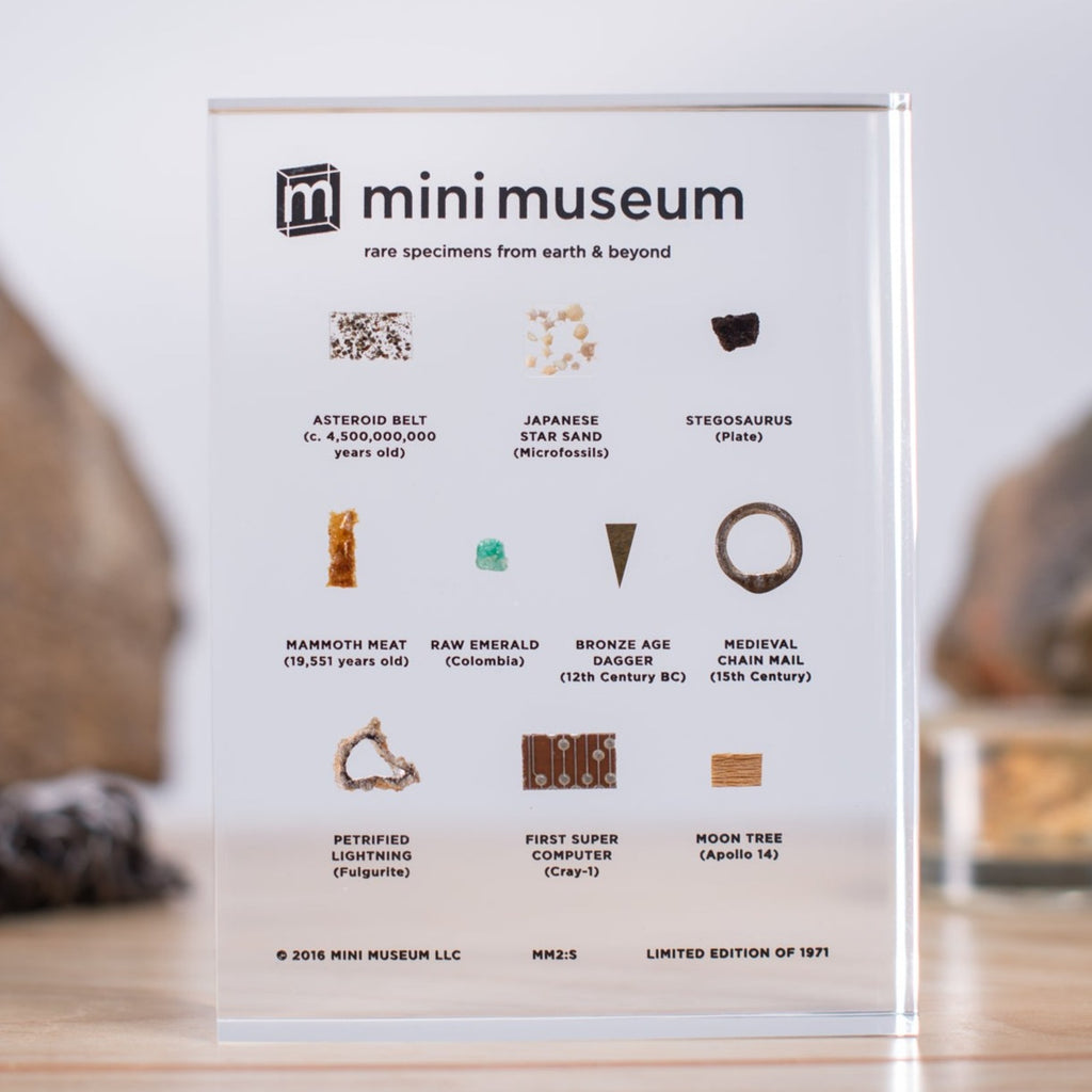 Mini Museum - Second Edition (SMALL - 10 Specimens)