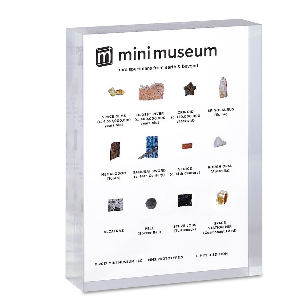 Mini Museum - Third Edition (SMALL - 12 Specimens)