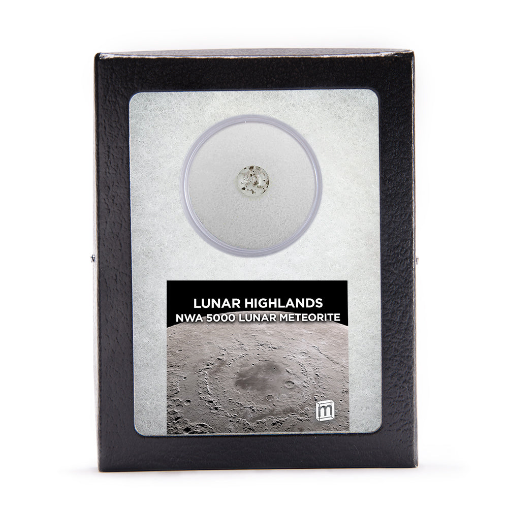 Lunar Highlands Classic Riker Box Specimens - Mini Museum