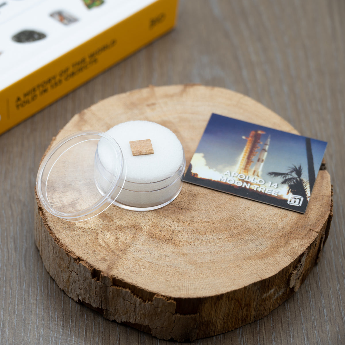 Apollo 14 Moon Tree - NASA Mission-Flown Collectible Specimen, Includes ...