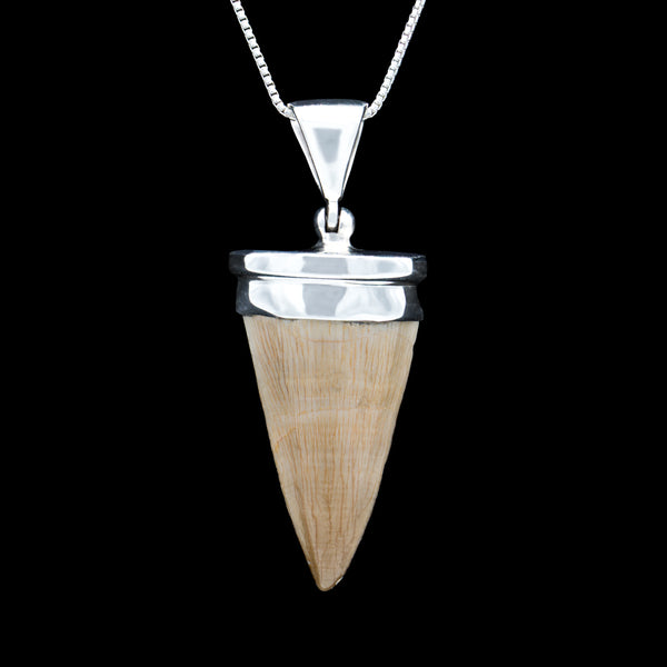 Genuine Mosasaur Tooth Pendant with 18