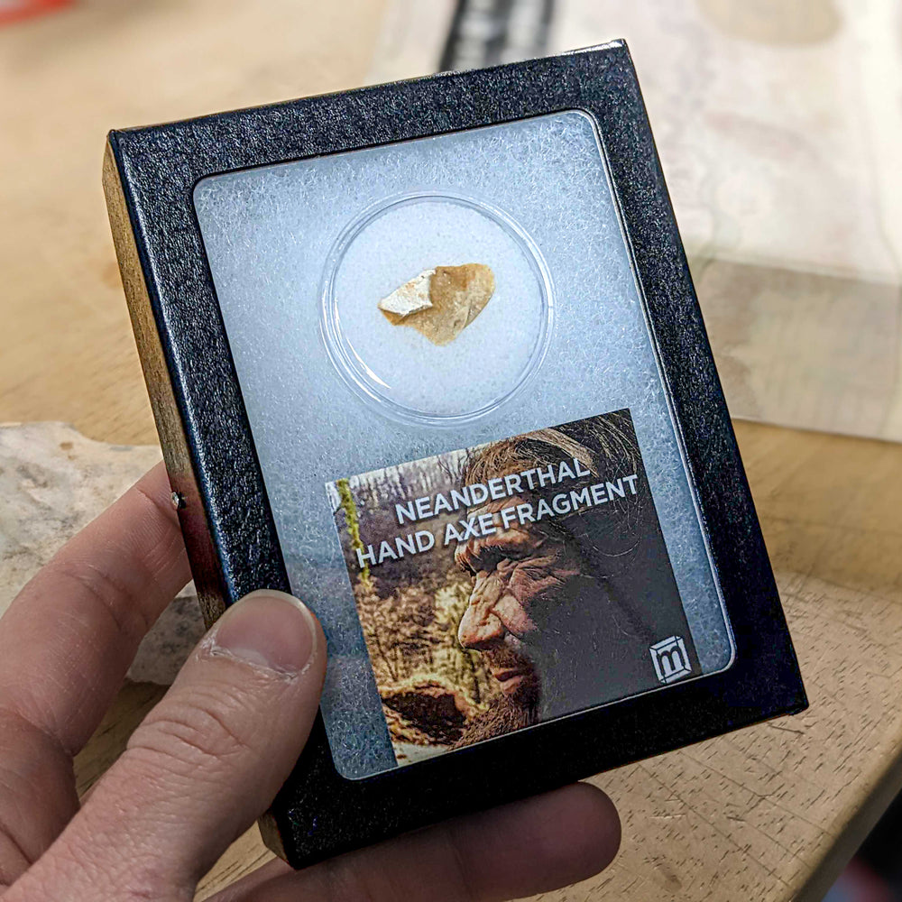 Neanderthal Classic Riker Box Stone Tool Fragment Collectible Specimen ...