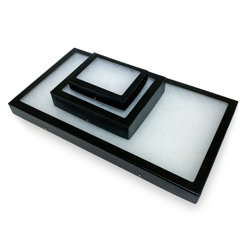 Classic Riker Mount Display Case - Black with Glass Top
