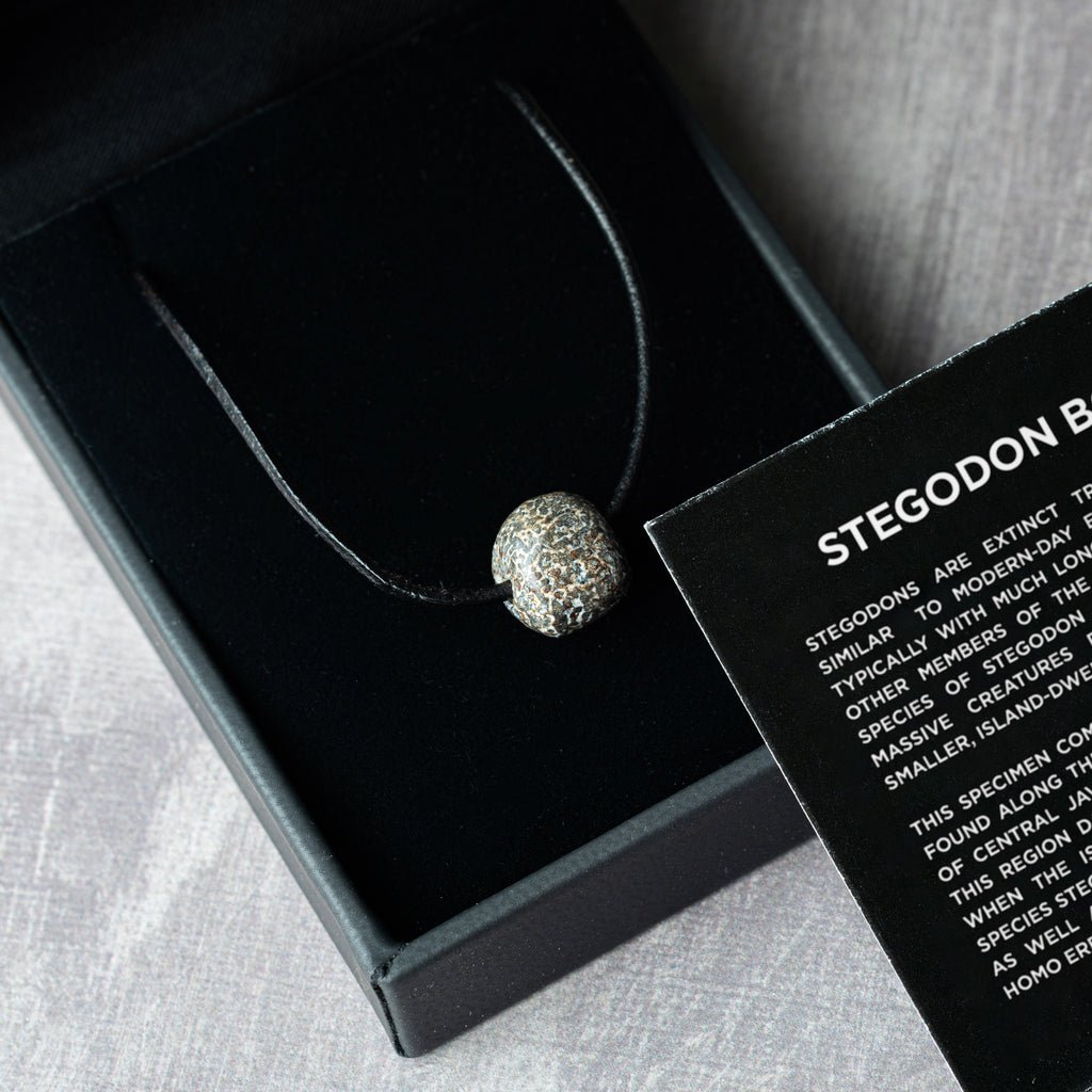 Stegodon Bone Necklace
