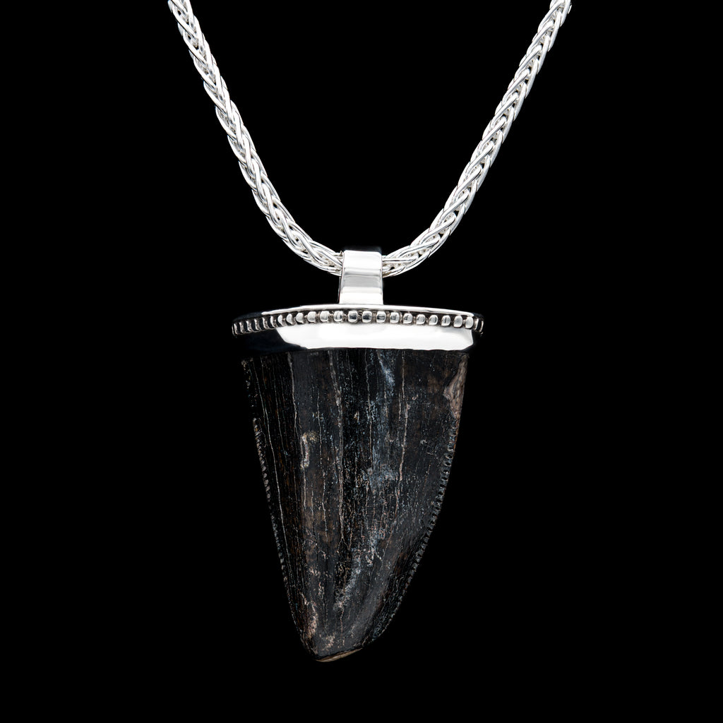 Tyrannosaurs Rex Tooth Pendant Necklace - SOLD 1.1"