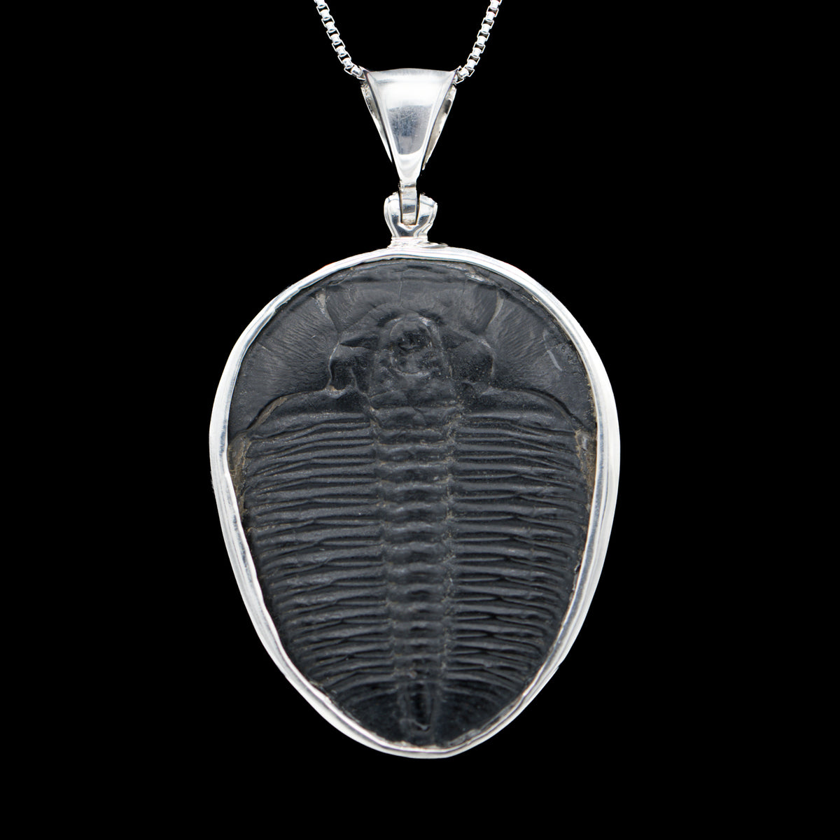 Trilobite Jewelry