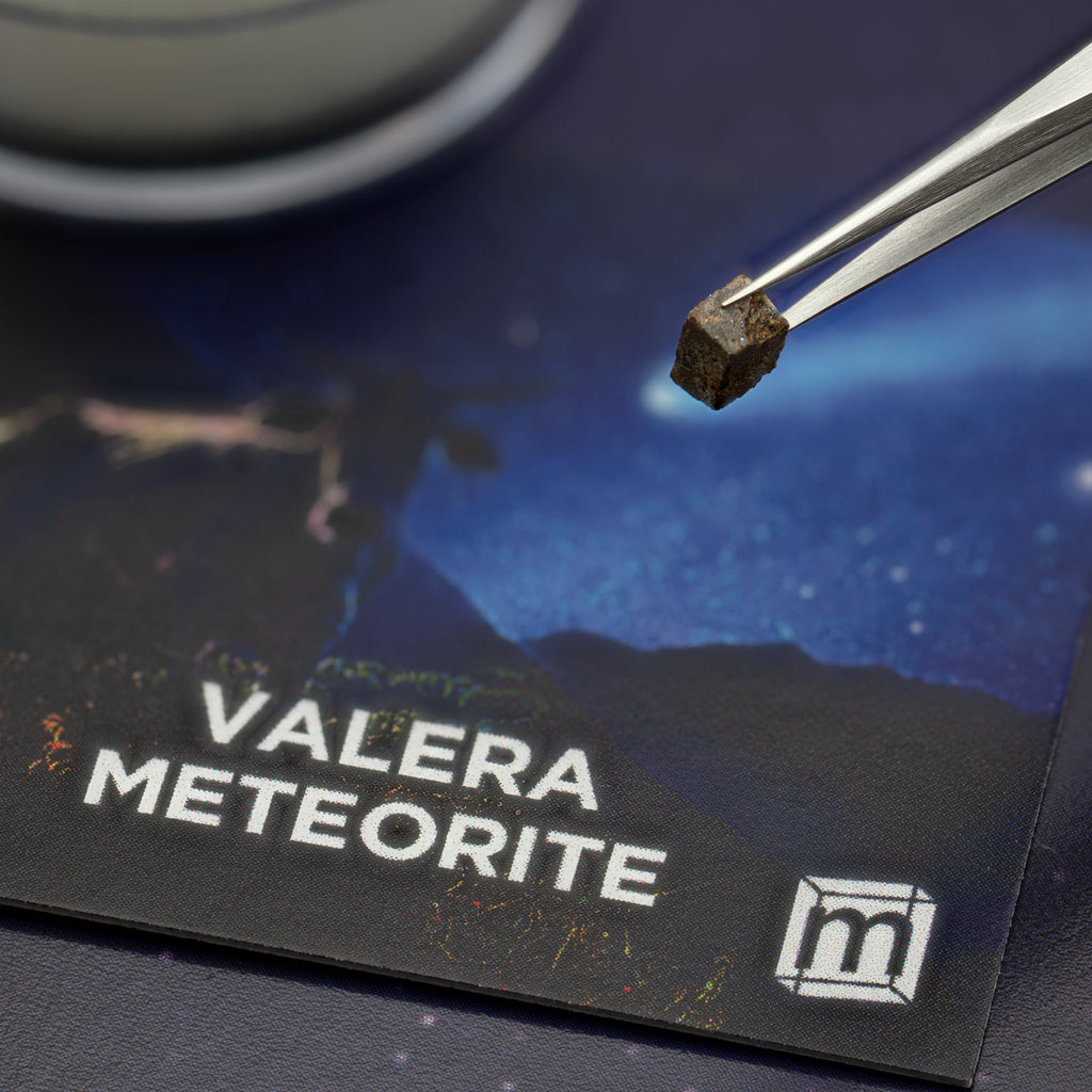 Valera "Cow Killer" Meteorite