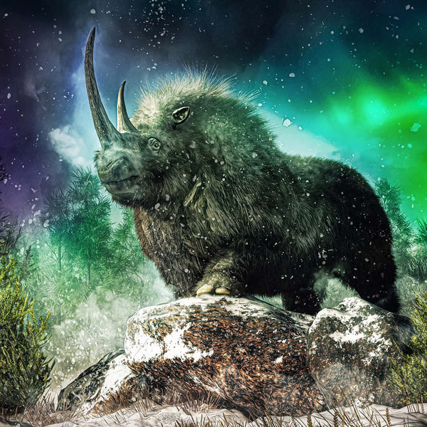 Woolly Rhinoceros